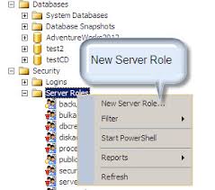 شرح لمجموعات تامين السيرفر SQL Security Server Roles